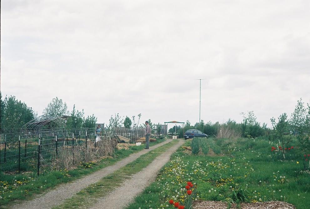 Abundance Ecovillage CSA farm in 2006